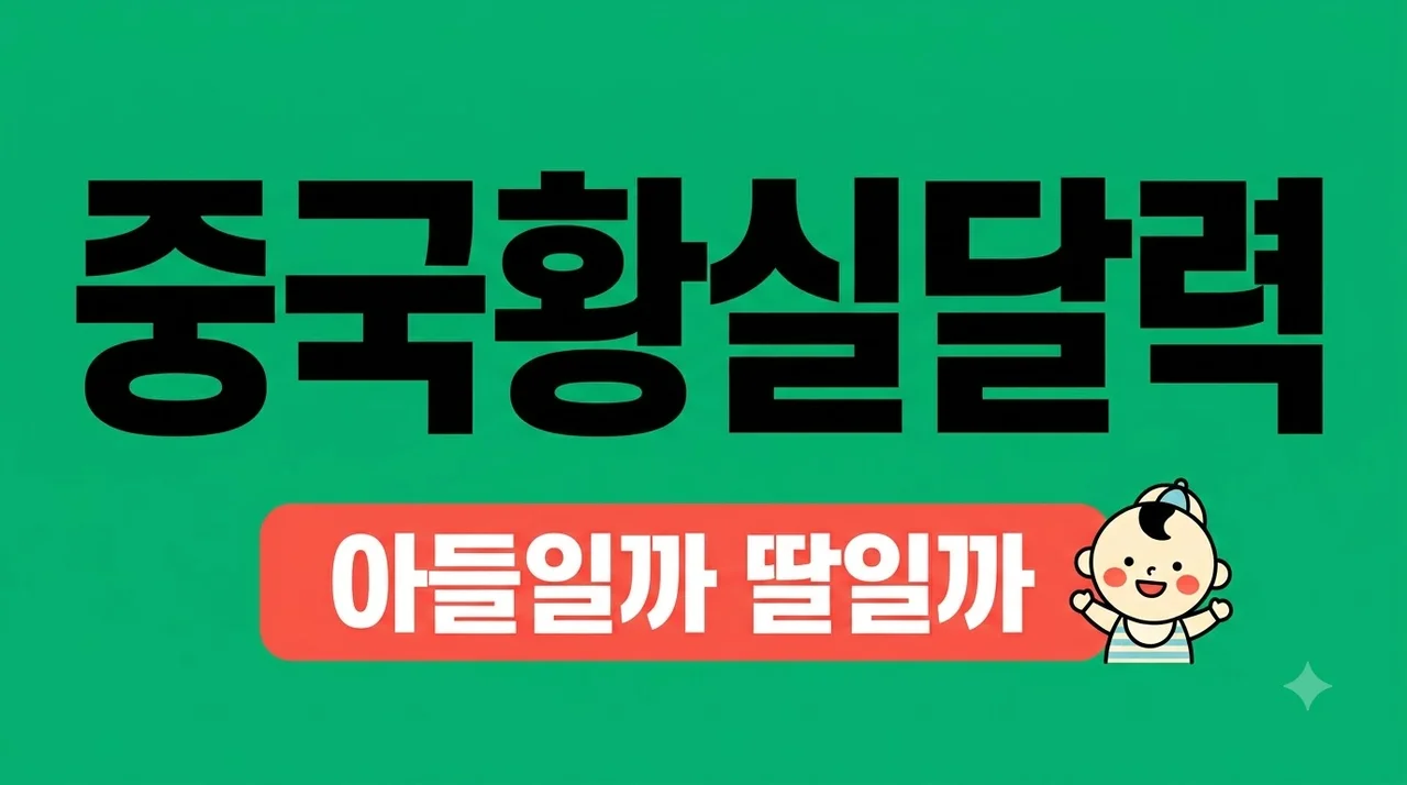 중국황실달력 성별 확인법 2026년 최신 계산 및 나이 보는 법