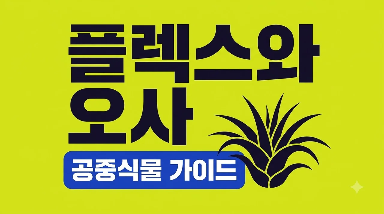 틸란드시아 플렉스오사 키우기 | 꼬인 잎의 매력과 꽃대 관리 꿀팁