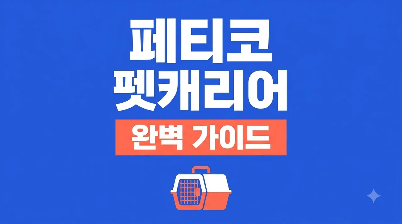 페티코 펫캐리어 추천부터 기내반입 기준까지 완벽 가이드